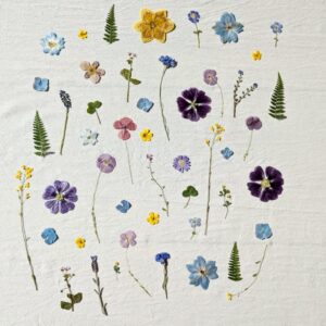Pressed floral designs