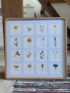 herbarium