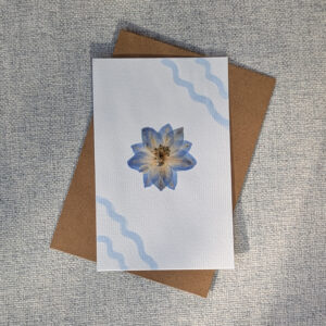 Pressed delphinium