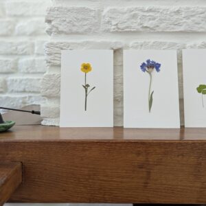 Herbarium